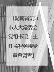 湖南省沅江市人大常委会党组书记、主任孟智勇接受审查调查